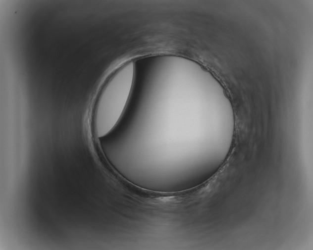 X0000102870054200808181054