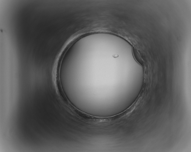 X0000102870056200808181054