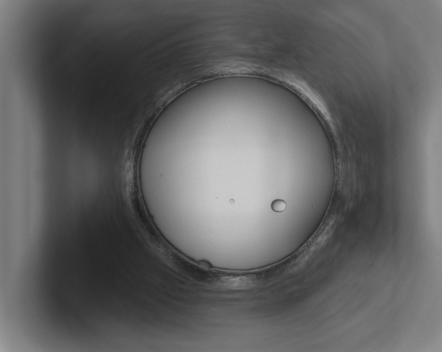 X0000102870057200808181054