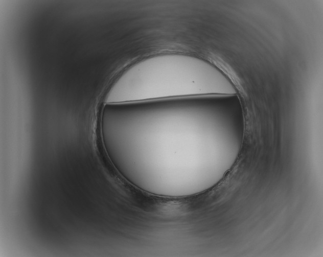 X0000102870058200808181054