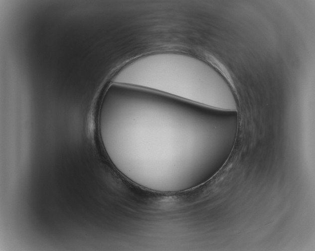 X0000102870059200808181054