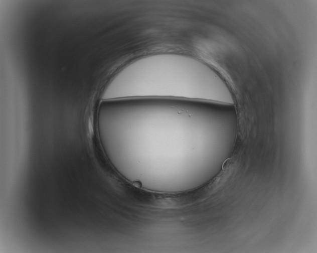 X0000102870062200808181054