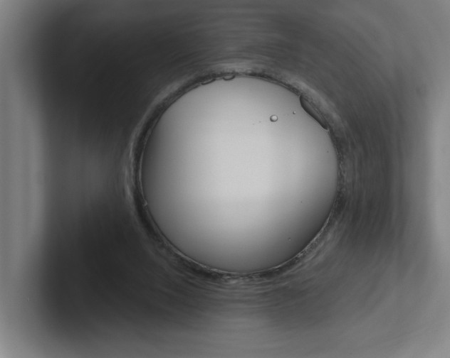 X0000102870064200808181054