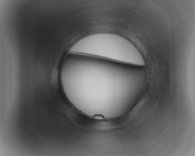 X0000102870066200808181054