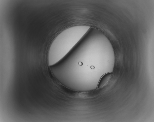 X0000102870078200808181054