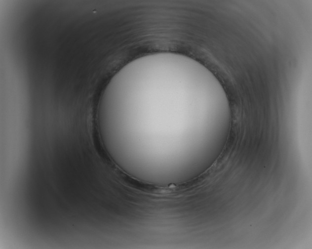 X0000102870080200808181054