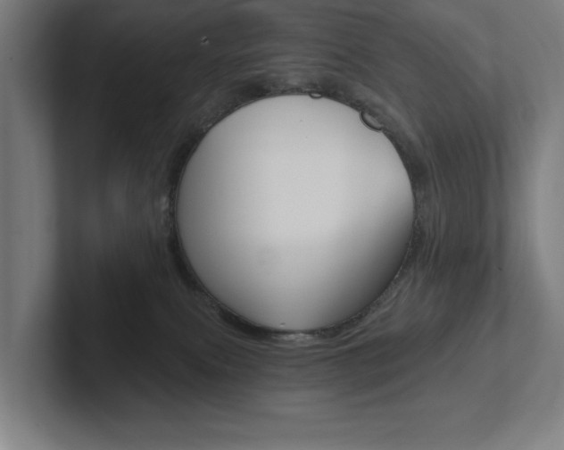 X0000102870087200808181054