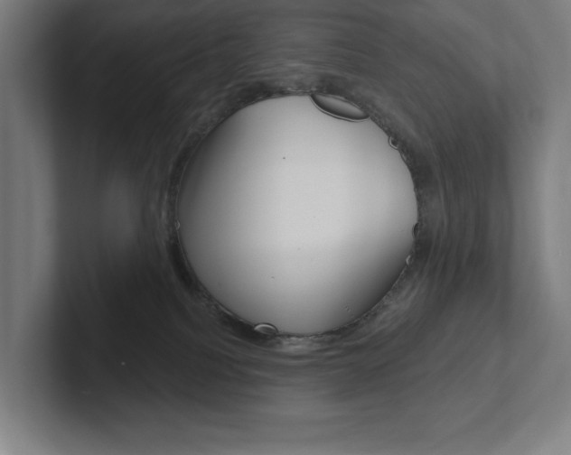 X0000102870088200808181054