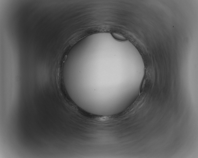 X0000102870092200808181054