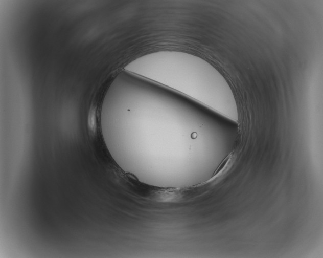 X0000102870094200808181054