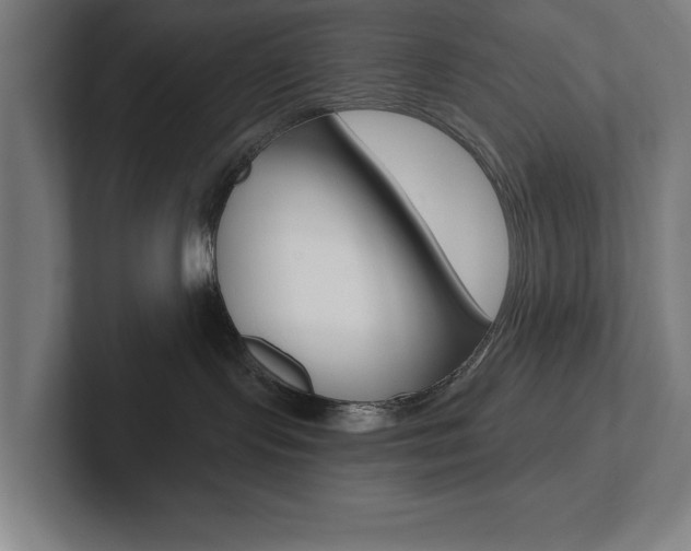 X0000102870095200808181054