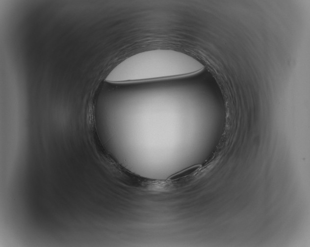 X0000102870096200808181054
