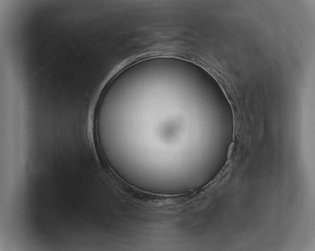 X0000102870100200808181054