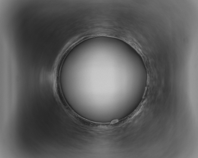 X0000102870101200808181053