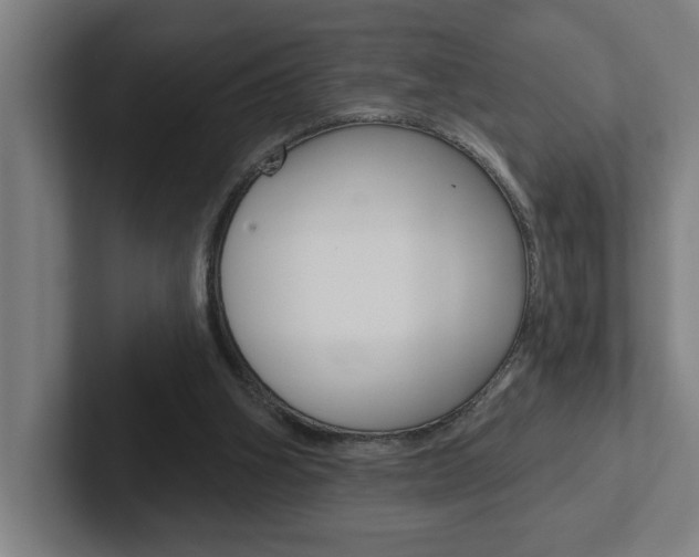 X0000102870106200808181053