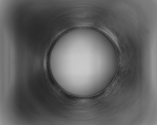 X0000102870107200808181053