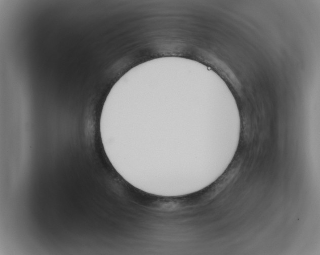 X0000102870113200808181053