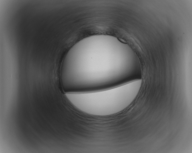 X0000102870131200808181053