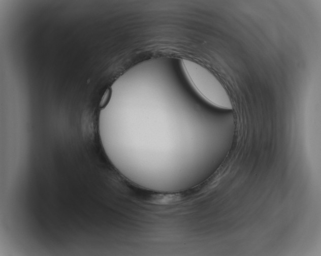 X0000102870135200808181053