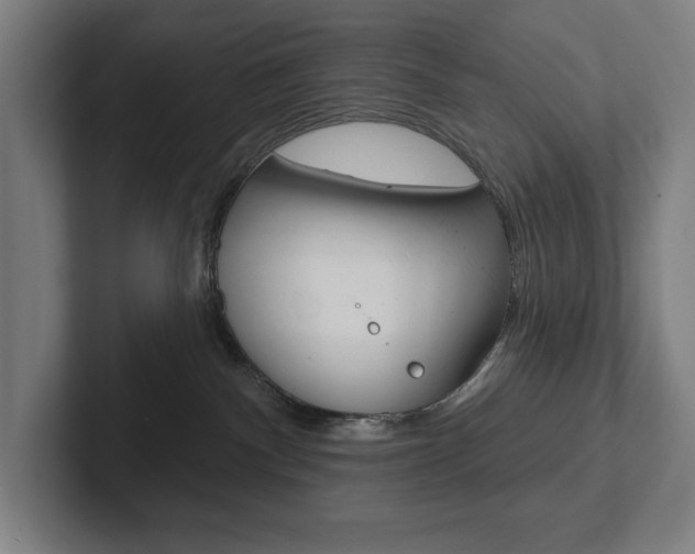 X0000102870140200808181053