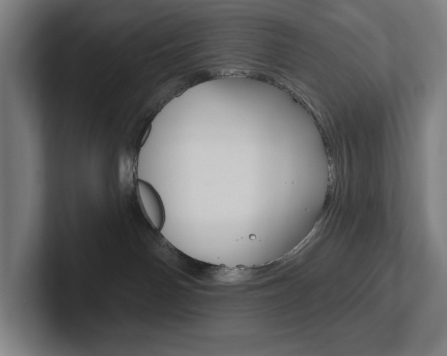 X0000102870142200808181053