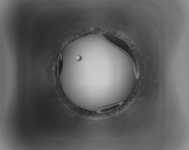 X0000102870144200808181053