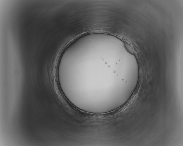 X0000102870145200808181052