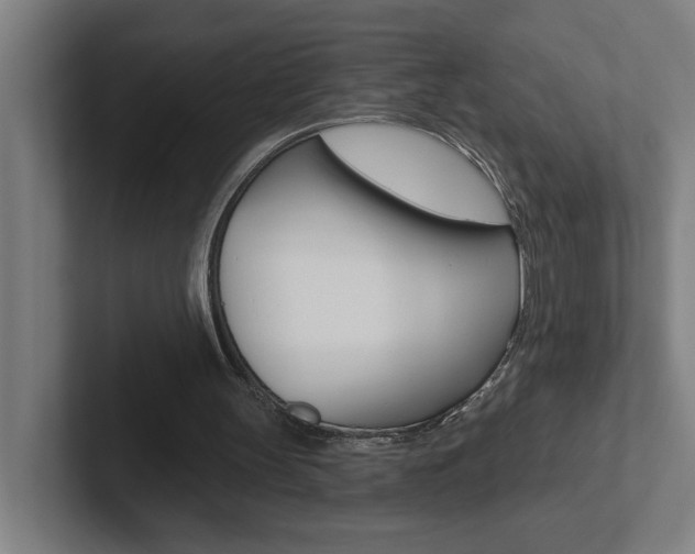 X0000102870147200808181052