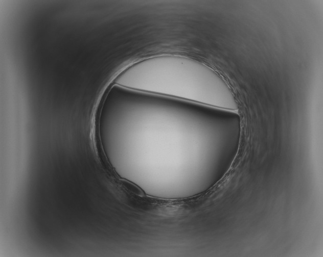 X0000102870148200808181052