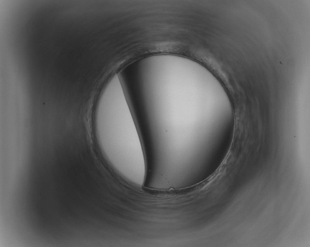 X0000102870154200808181052
