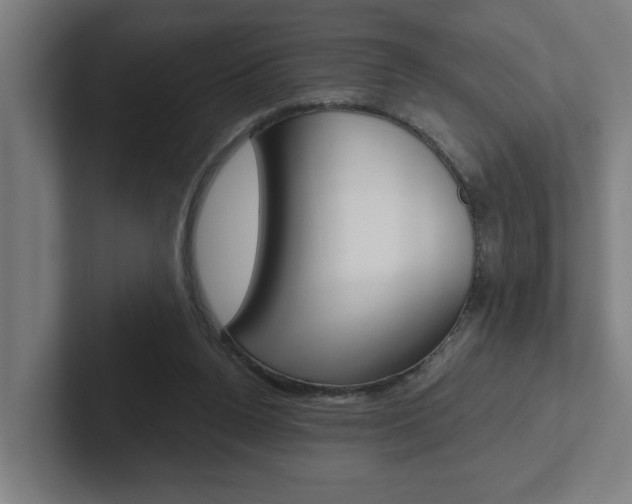 X0000102870160200808181052