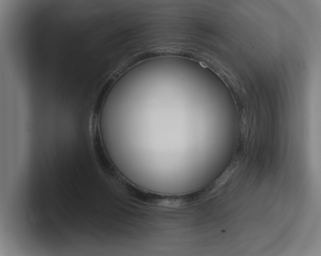X0000102870168200808181053