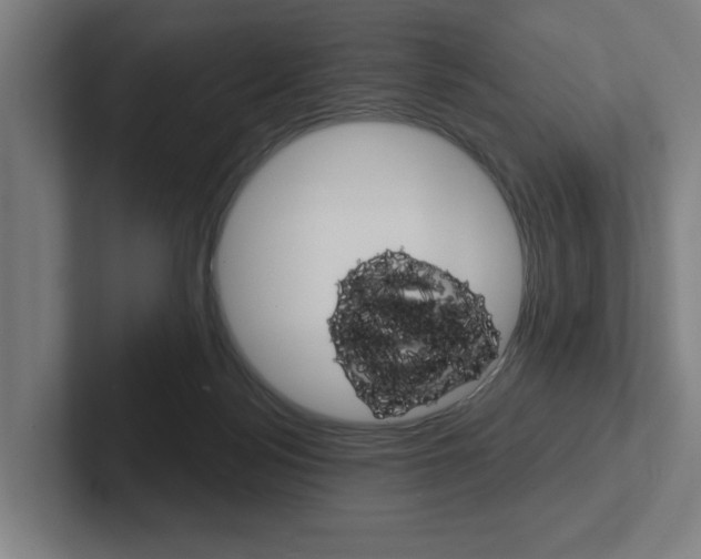 X0000102870172200808181053