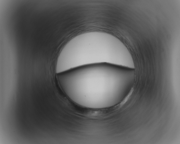 X0000102870174200808181053