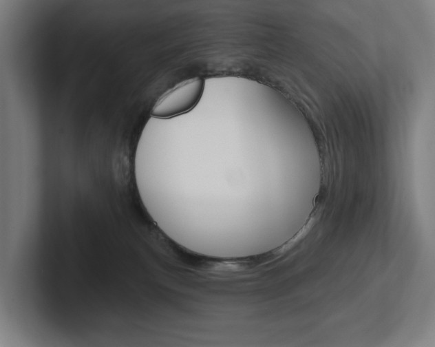 X0000102870183200808181053