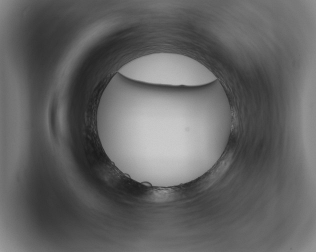 X0000102870189200808181053