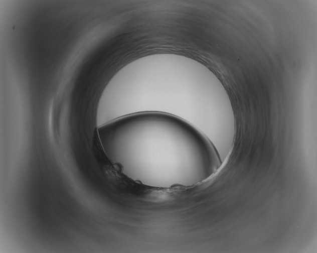 X0000102870190200808181053