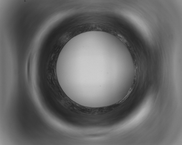 X0000102870191200808181053