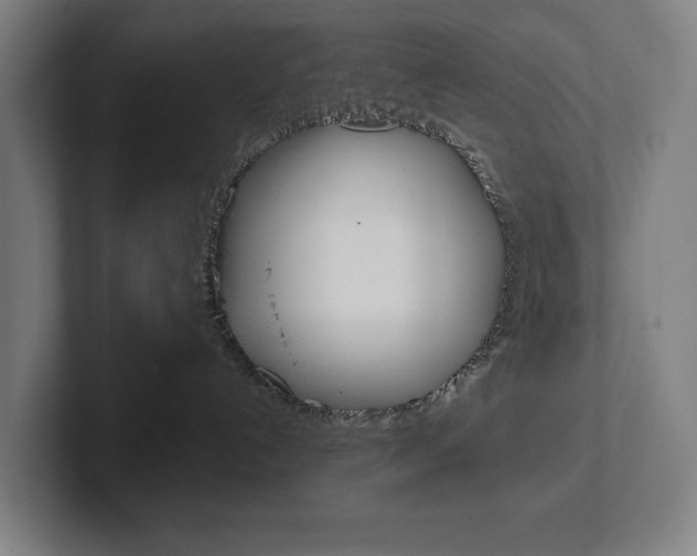 X0000102870192200808181053
