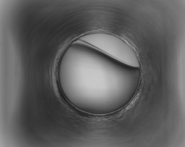 X0000102870193200808181052