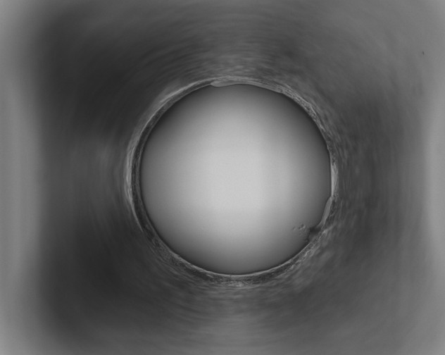 X0000102870195200808181052