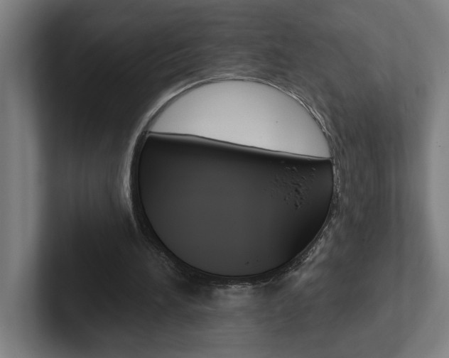 X0000102870196200808181052