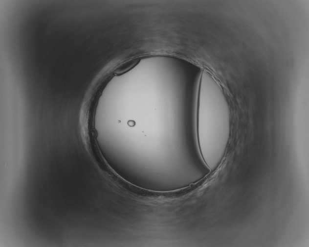 X0000102870197200808181052
