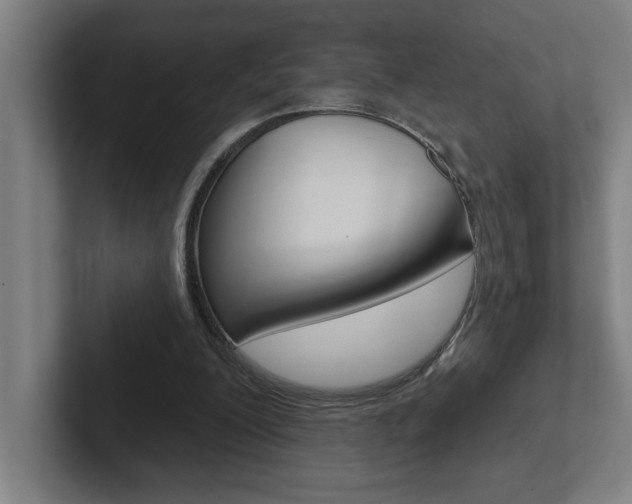X0000102870200200808181052