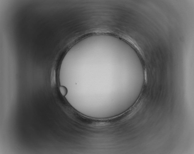 X0000102870205200808181052