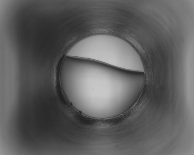 X0000102870207200808181052