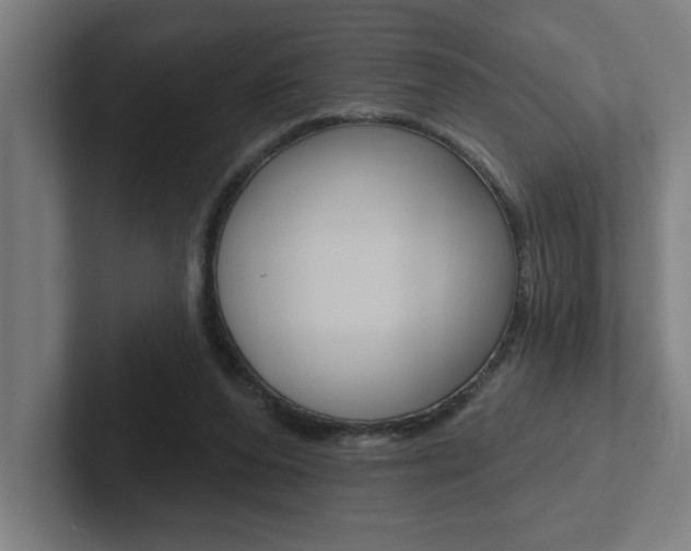 X0000102870208200808181052