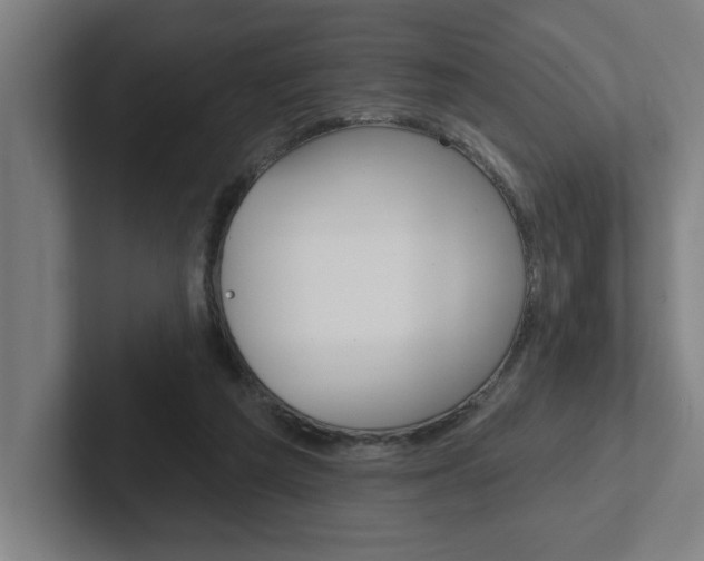 X0000102870209200808181052