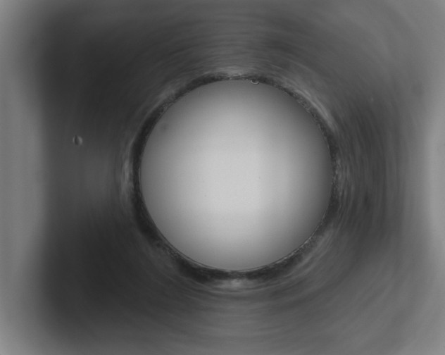 X0000102870212200808181052