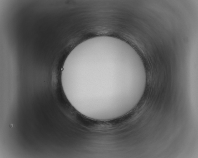 X0000102870215200808181052